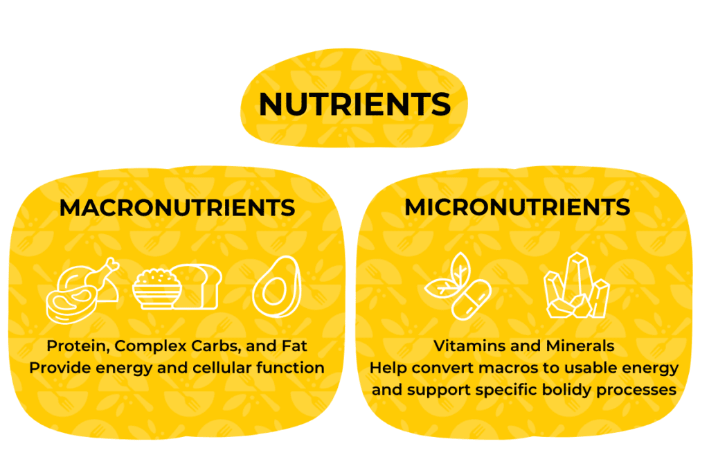 Yellow chart with black text describing the difference between macronutrients and micronutrients.